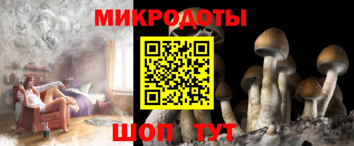 Псилоцибиновые грибы Psilocybe Воскресенск