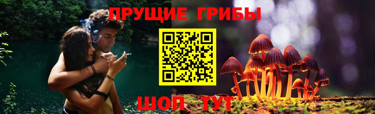 Воскресенск  Псилоцибиновые грибы ЛСД  Вход с VPN 